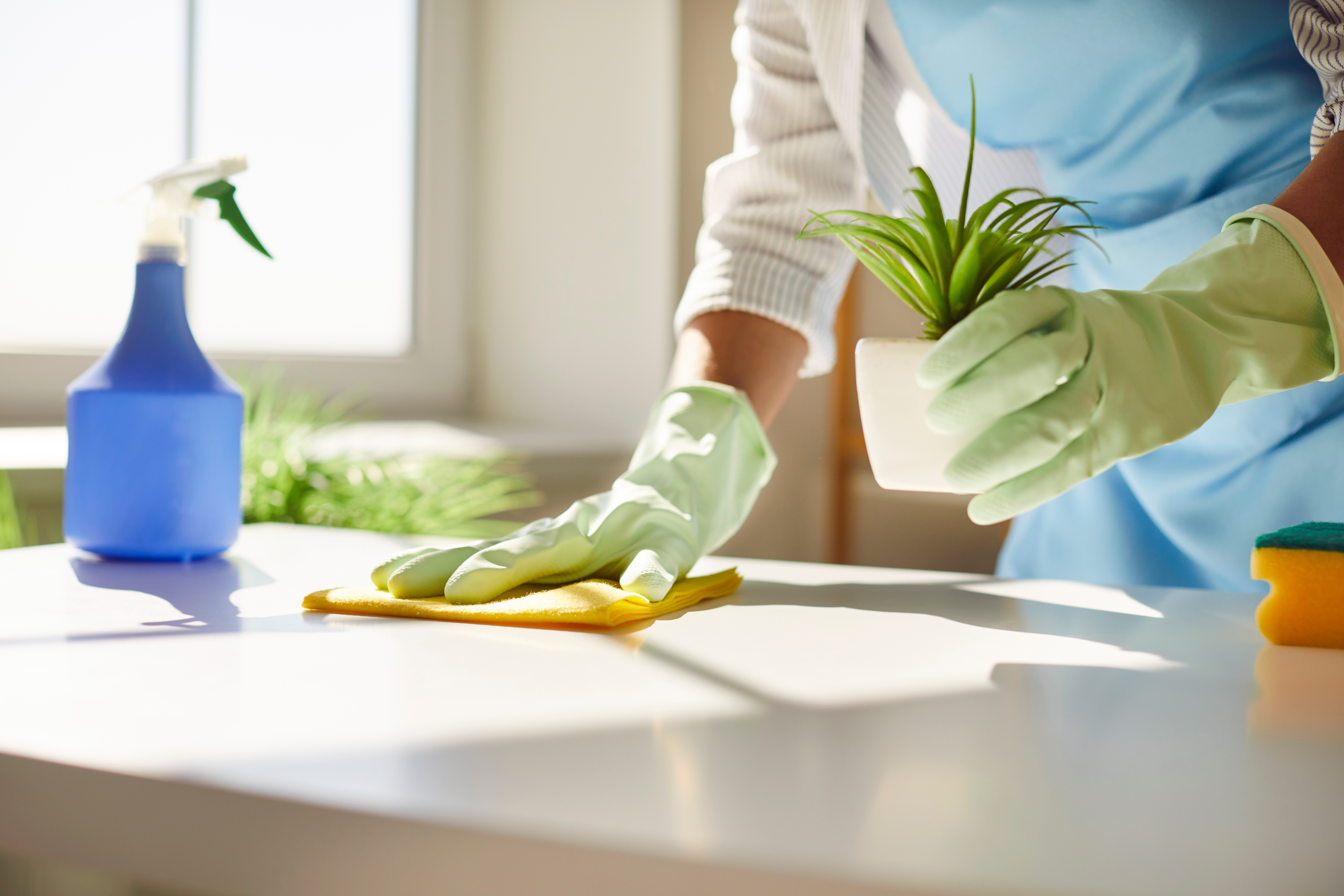 5 Reasons You Should Hire a Professional Home Cleaning Service to Make Your Life Easier